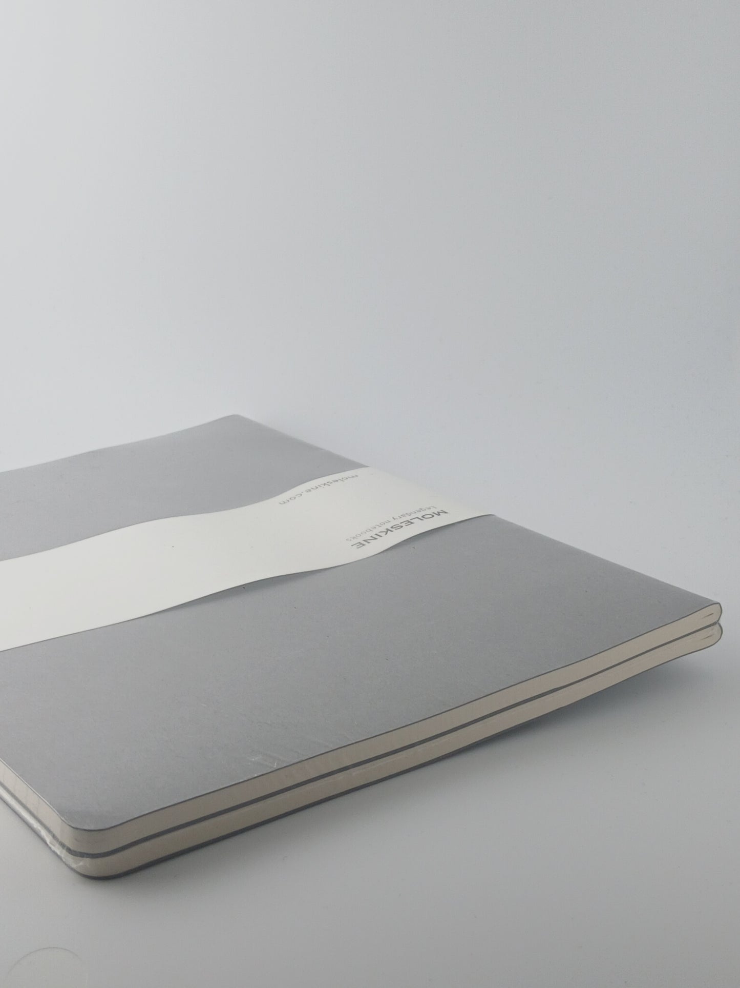 Moleskine Notebook